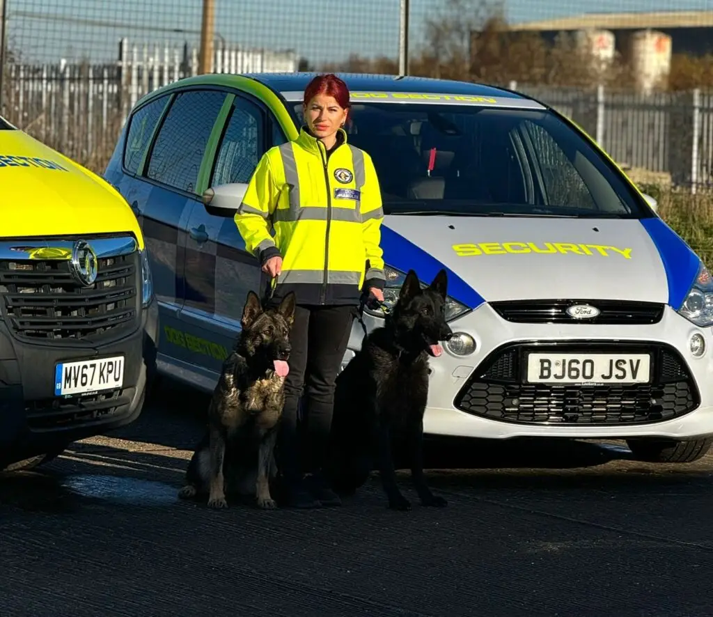 Dog handlers for events and security